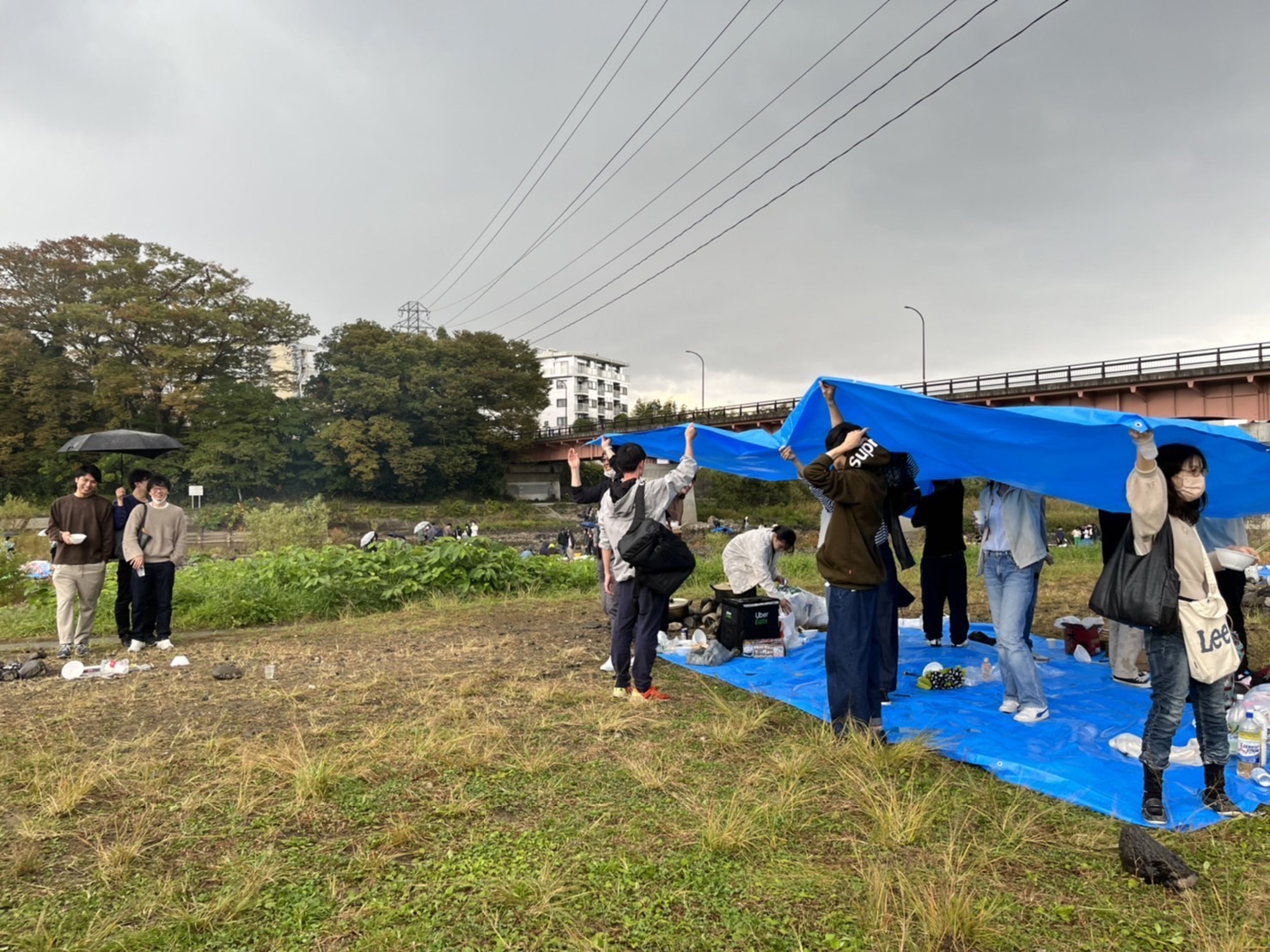 東北大学吉岡研究室