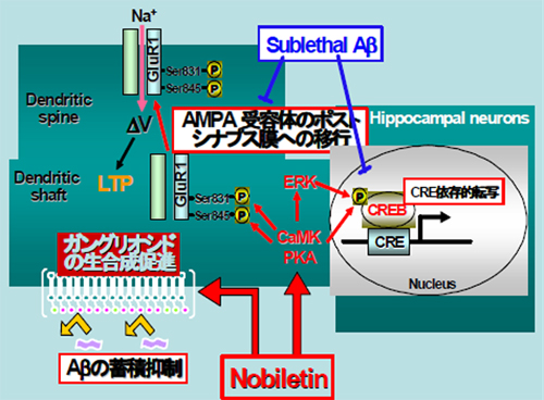 表1