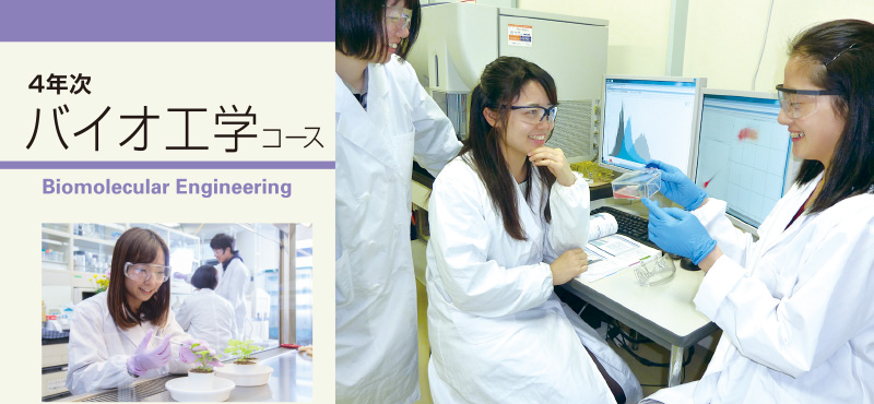 4年次バイオ工学コース