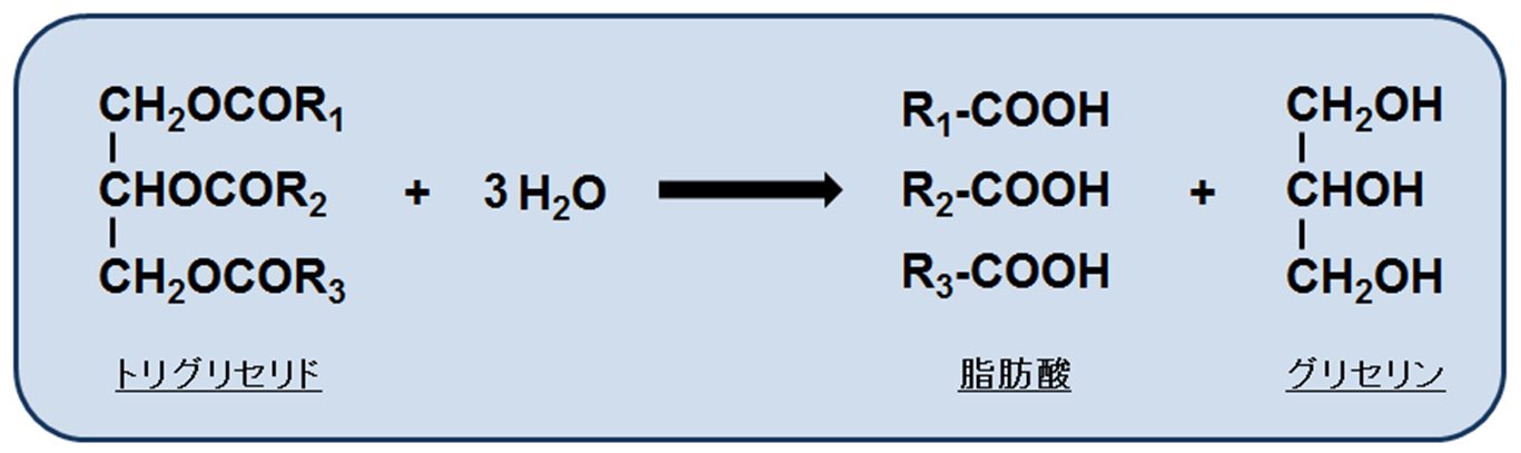 分解 加水 エステル の エステルの性質と反応