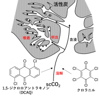 画像1 画像1