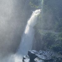 S__28827678 S__28827678
