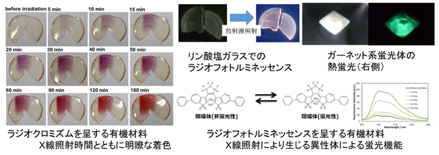 線量計測およびイメージング素子の開発