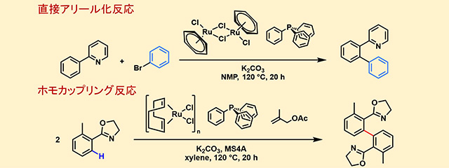 芳香族化合物の直接カップリング反応
