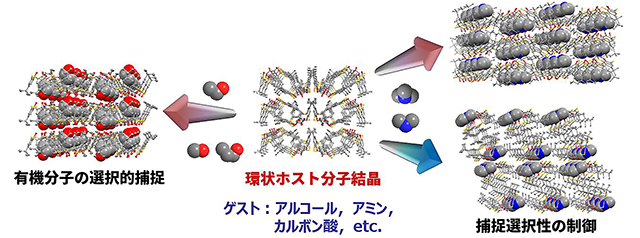 高性能分離材料の開発