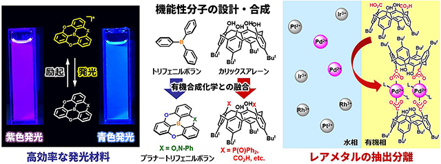 機能性分子の創成