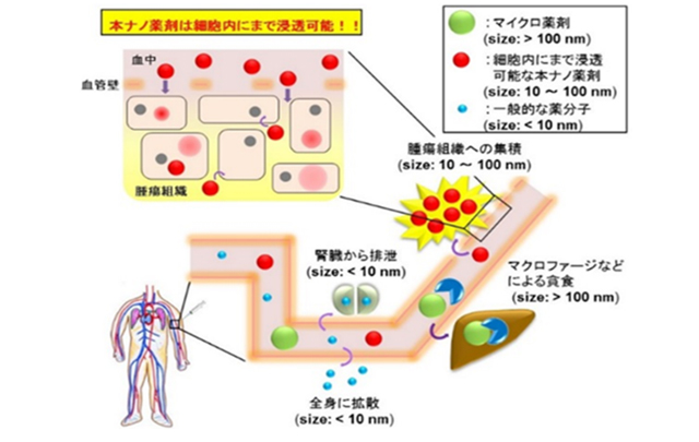 従来と逆の分子設計に基づく新規ナノ薬剤