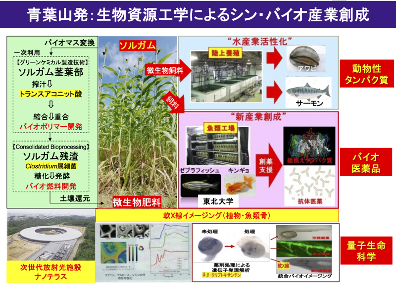 生物資源工学