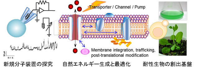 生命分子の機構と創生