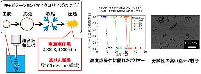 半導体、酸化物バルク単結晶成長プロセス