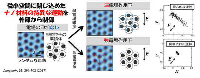 微粒子を集積/配列させて新たな機能を発現させるプロセスの開発