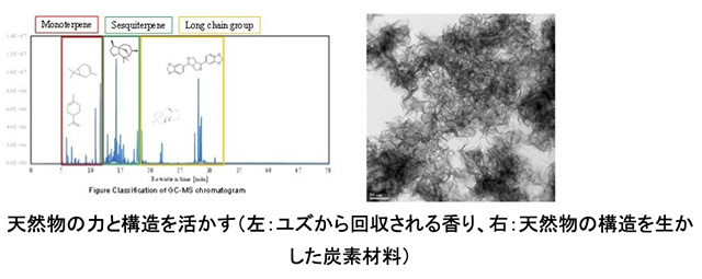 グリーン溶媒プロセスによる未利用・廃棄物資源の高付加価値化