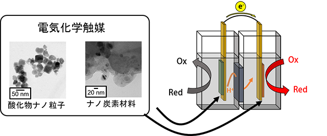 高容量高出力型水系有機二次電池の開発