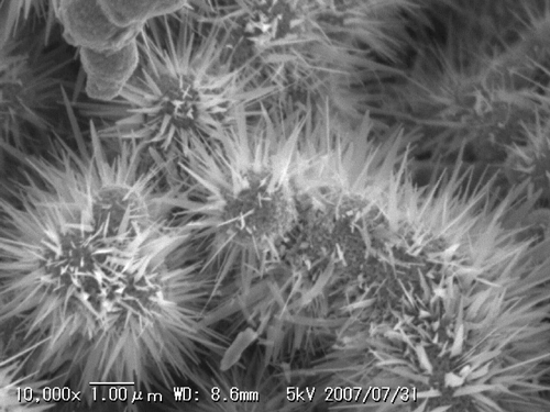 These look like a sea urchin, but are actually the nano-scale needles on iron oxide