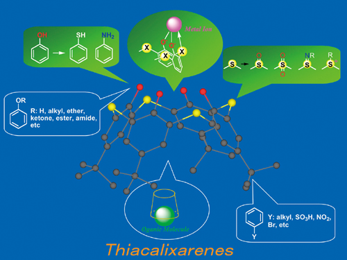 The functional molecule thiacalixarene, which can recognize a range of metallic ions and organic molecules through functional group transformation