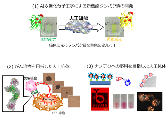 バイオ分子の進化 -自然にない機能を生み出す-