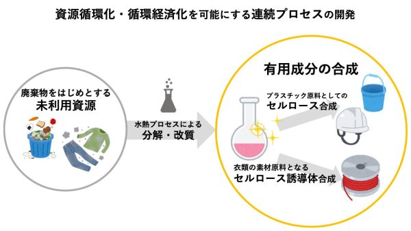 biomass_intro_3